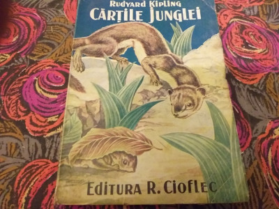 Cartile Junglei, editura Cioflec, colectie foto