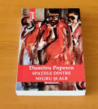 Dumitru Popescu - Spațiile dintre negru și alb