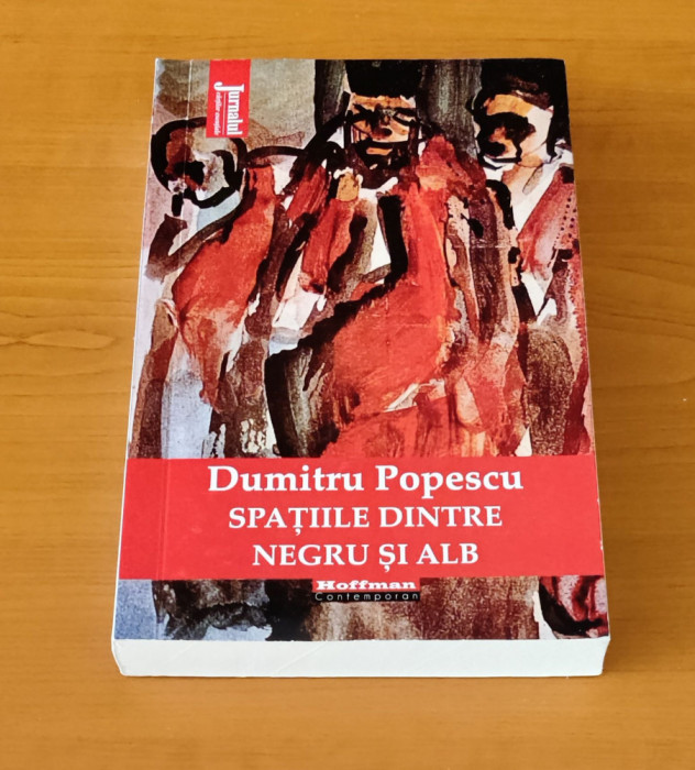 Dumitru Popescu - Spațiile dintre negru și alb