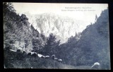 P.229 CP BRASOV GROSSER K&Ouml;NIGSTEIN PIATRA CRAIULUI SIEBENB&Uuml;RGISCHE KARPATHEN