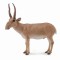 Figurina Antilopa Saiga L Collecta