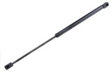 Amortizor portbagaj , L=460mm, F=380n, Citroen C2, 2003-, NTY AE-CT-013