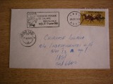 D11 - 1981 - Circulatie postala - Romania - Iasi