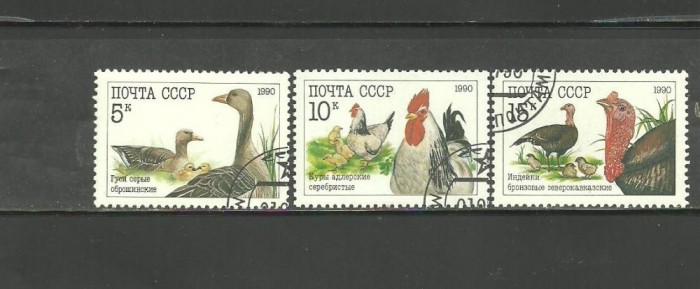 RUSIA 1990 - PASARI DE CURTE, serie stampilata, DB12