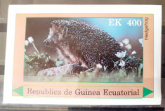 Guinea Ecuatoriala fauna, arici , COLITA mnh foto