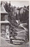 bnk cp Lacul Rosu - Vedere din statiune - uzata