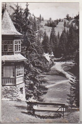 bnk cp Lacul Rosu - Vedere din statiune - uzata foto