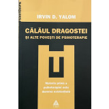 CALAUL DRAGOSTEI SI ALTE POVESTI DE PSIHOTERAPIE - IRVIN D. YALOM 2008