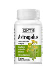 Astragalus 30 capsule Zenyth