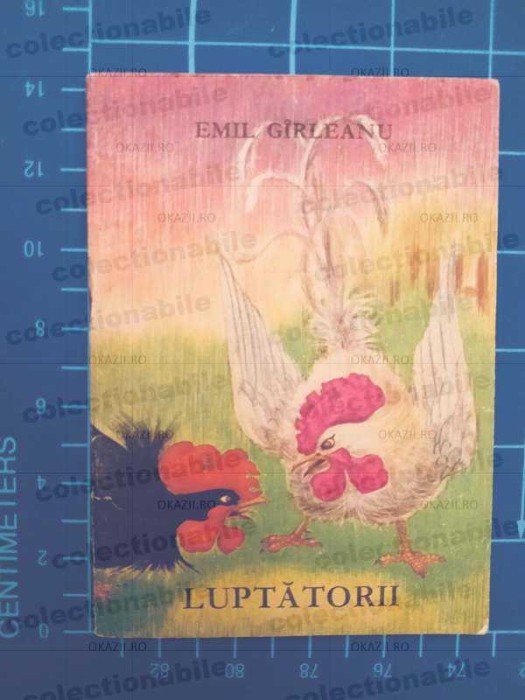 Luptătorii - Emil G&icirc;rleanu / ilustrații color Ileana Ceaușu-Pandele / 1971