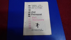 program Jiul - Poli Timisoara foto