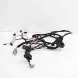 Cablaj Usa Dreapta Spate Tesla Model S 2017 Original 17207741