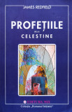 Profetiile de la celestine