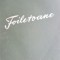 Foiletoane D. Zaslavschi