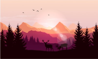 Fototapet Sunset Forest foto