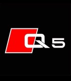 Cumpara ieftin Holograme usi Audi Q5 , set 2 bucati