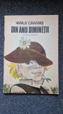 DIN ANII DIMINETII - Vasile Carabis