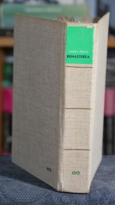 Renasterea - Andrei Otetea foto