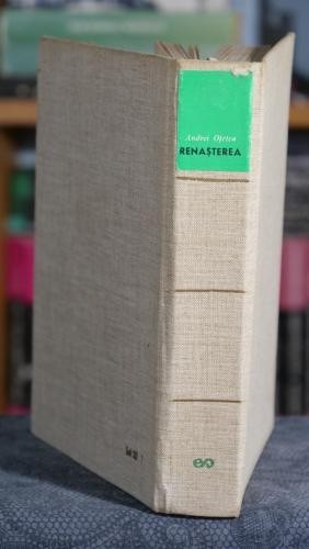 Renasterea - Andrei Otetea