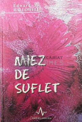 Miez de suflet - 2003 - Edward M. Hallowell ($T158) foto