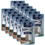 Cumpara ieftin Happy Cat Culinary Quellwasser-Forelle / Păstrăv 12 x 85g