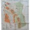 A3396N Harta geologică a &icirc;mprejurimilor Tulgheșului, Ion Anastasiu, 1927, Institutul Geologic al Rom&acirc;niei