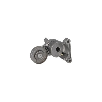 Intinzator curea VOLVO S80 I TS XY DAYCO APV2294 foto