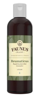 LOTIUNE REUMATICUS 200ML (IMP.DURERILOR REUMATICE) foto