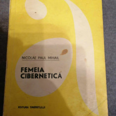 FEMEIA CIBERNETICA de NICOLAE PAUL MIHAIL