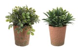 Cumpara ieftin Set 2 ghivece plante artificiale 8x16 cm