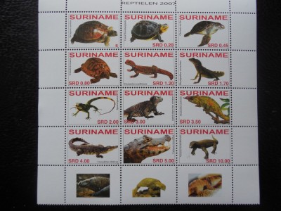 SURINAME-REPTILE-KLEIBOGEN-NESTAMPILATE foto