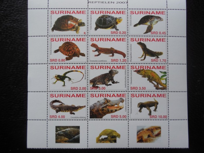 SURINAME-REPTILE-KLEIBOGEN-NESTAMPILATE