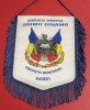 Fanion - Asociatia Sportiva &quot;SOIMII DINAMO&quot; Constantin Brancoveanu-Ploiesti
