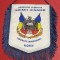 Fanion - Asociatia Sportiva &quot;SOIMII DINAMO&quot; Constantin Brancoveanu-Ploiesti
