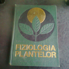 FIZIOLOGIA PLANTELOR - D. PARASCAN