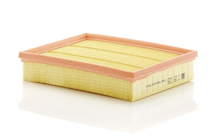 MANN-FILTER C 25 035 Filtru aer