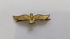 Romania-Semn de arma-Aviatie