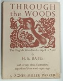 THROUGH THE WOODS by H . E . BATES illustrations by AGNES MILLER PARKER , 1969 * BOGAT ILUSTRATA