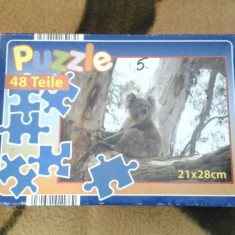 Ursuletul Koala Puzzle copii +5 ani