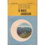 Excursii in Muntii Fagarasului