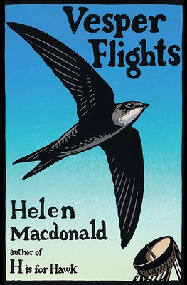 Vesper Flights foto