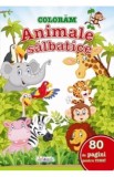 Coloram animale salbatice - Editura Erc Press