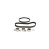 Kit distributie LAND ROVER FREELANDER Soft Top LN DAYCO KTB768