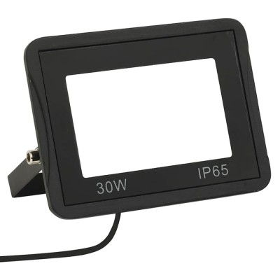 Proiector cu LED, 30 W, alb rece foto