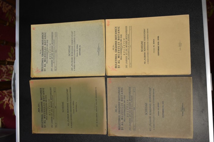 patru reviste Buletinul Gradinii Botanice si al Muzeului Botanic 1931-1938