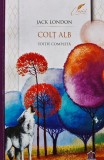 Colt alb - 2025 - Jack London (AZ208), Didactica Publishing House
