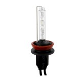 Cumpara ieftin Bec Xenon H11-6K - CARGUARD Best CarHome