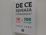 De ce esueaza companiile Iancu Guda