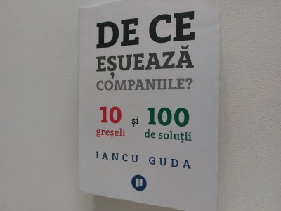 De ce esueaza companiile Iancu Guda foto