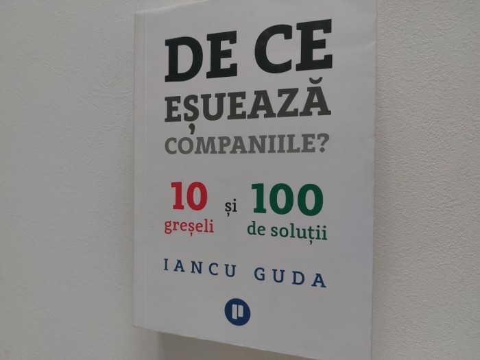 De ce esueaza companiile Iancu Guda